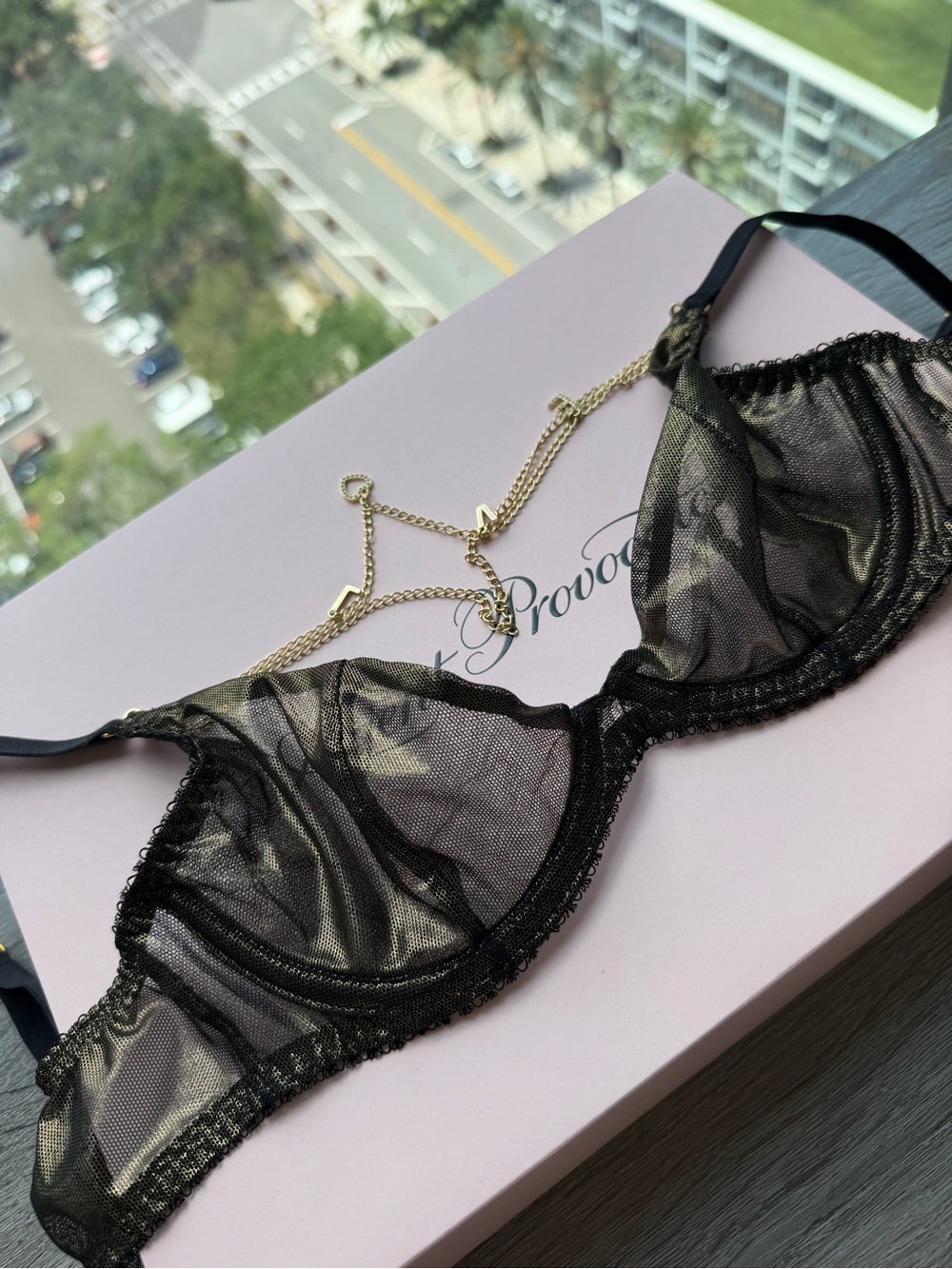 🩶NWT🩶Agent Provocateur Sheer Black Lace Underwire Bra with Gold Chain Accent
